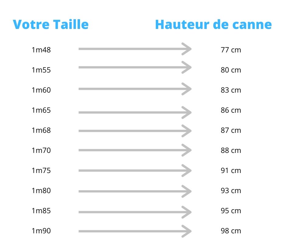 hauteur de canne 