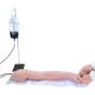 Bras pour injection et IV multi-veines, peau claire LF01271 Nasco Life/form