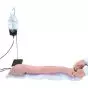 Bras pour injection et IV multi-veines, peau claire LF01271 Nasco Life/form