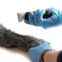 Simulateur d'injection canine Erler Zimmer