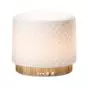 Diffuseur d'huiles essentielles Lanaform Moya