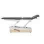 Table de massage hydraulique Naggura' Swop 3F PRO Physio