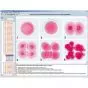 CD-ROM Embryologie et développement 3B Scientific W13531