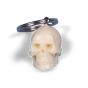 Porte-clé Crâne W40001