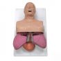 Appareil de formation des voies respiratoires pour adultes 3B Scientific