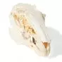 Crâne de lapin T300191 1020987
