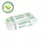 Lingettes nettoyantes 100% biodégradable Wip'Anios Excel 100 lingettes