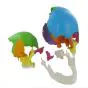 Modèle de crâne humain articulé coloré en 22 pièces version didactique Mediprem