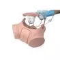 Kit simulateur de cathétérisation PRO SPC 1023010 