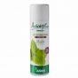 Spray désinfectant rapide Aniosept 41 Premium Menthe 400 mL Anios
