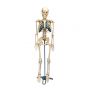 Squelette pour le bureau W33000