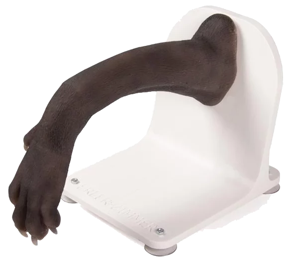 Entraineur de bandage pour patte de chien Erler Zimmer