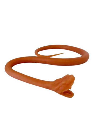 Simulateur d'intubation endotrachéale du serpent Erler Zimmer