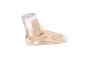Fantôme radiographique du pied Erler Zimmer transparent