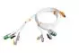 Câble patient pour ECG HD+ Cardioline (à fiche 4mm, pression ou pince) 