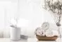 Sauna facial Lanaform Luxury Facial Steamer