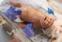 Mannequin de réanimation néonatal Baby C.H.A.R.L.I.E. (avec simulateur ECG) - Nasco LF01420