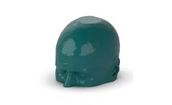 Fantôme tête et cou pour tomodensitométrie radiographie et radiothérapie Erler Zimmer