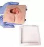 Modèle de plaie décubitus sacré nettoyé Erler Zimmer - Avec support