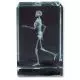 MEDart™  – des objets précieux en verre, Squelette MAA10G