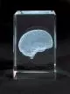MEDart™  – des objets précieux en verre, Cerveau MAC15G