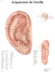 Planche anatomique Acupuncture de l'oreille VR2821UU