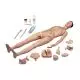 Mannequin de soins 3B Scientific P10