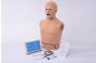 Torse d'auscultation avec cœur d’adulte et sons pulmonaires 1019857
