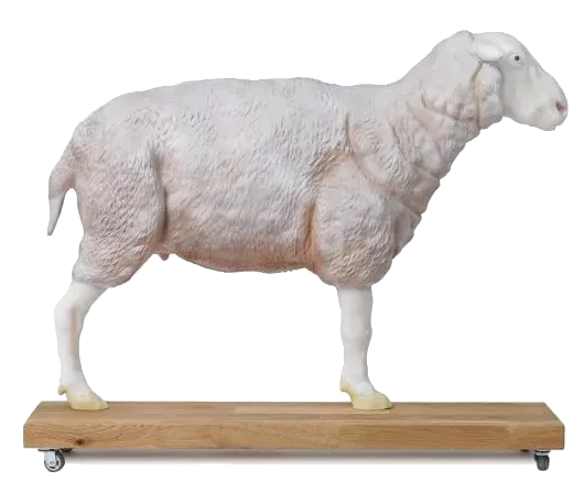 Modèle de mouton 2/3 grandeur nature Erler Zimmer
