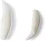 Modèle de dents de mammifères T300291 3B Scientific (20 pièces)