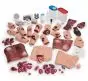 Kit de simulation de blessures EMT 800-818