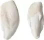 Modèle de dents de mammifères T300291 3B Scientific (20 pièces)