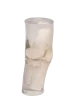 Fantôme radiographique du genou Erler Zimmer transparent