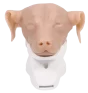 Simulateur d'otoscopie canine Erler Zimmer
