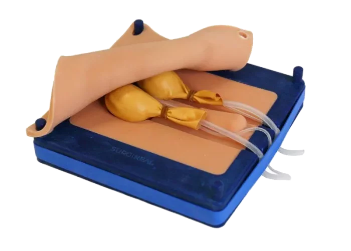 Simulateur de castration canine Erler Zimmer