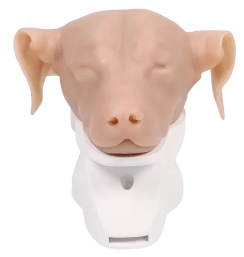 Simulateur d'otoscopie canine Erler Zimmer