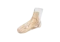 Fantôme radiographique du pied Erler Zimmer transparent