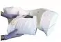 Rechange pour épanchement pleural sur simulateur R10078 Erler Zimmer