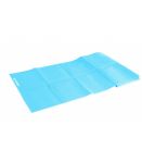 Natte de gym pliable 173 x 61 x 0.5cm CareFitness