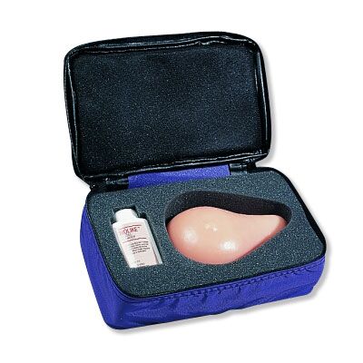 MedEduQuest Modèle D'examen Testiculaire Masculin Grande