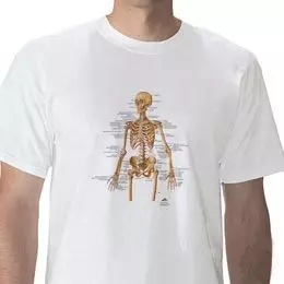 T-Shirt anatomique, Squelette, XL W41011