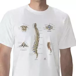 T-Shirt anatomique, Colonne Vertébrale, L W41032