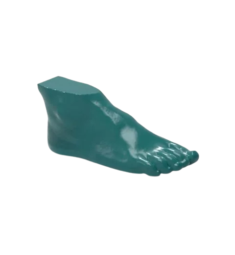 Fantôme de pied pour tomodensitométrie radiographie et radiothérapie Erler Zimmer