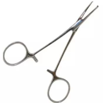 Pince Kocher droite en inox