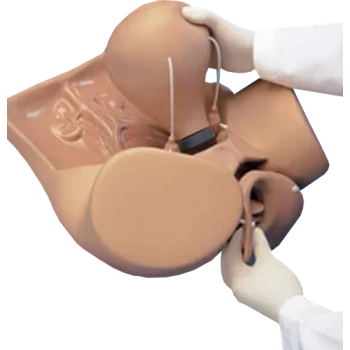 Simulateur gynécologique ZOE W45043