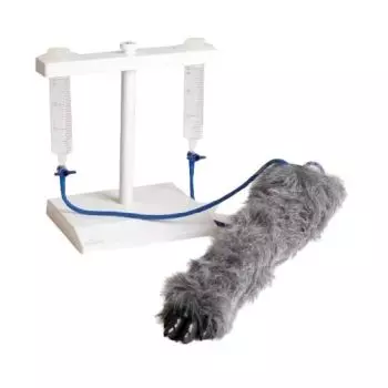 Simulateur d'injection canine Erler Zimmer