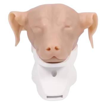 Simulateur d'otoscopie canine Erler Zimmer