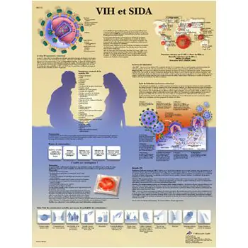 Planche anatomique VIH et SIDA VR2725L