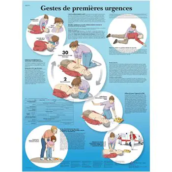 Planche anatomique Gestes de premières urgences VR2770uu