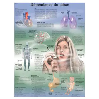 Planche anatomique Dépendance du tabac VR2793UU